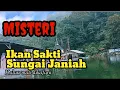 Download Lagu MISTERI IKAN SAKTI SUNGAI JANIAH || Ikan yang berasal dari manusia