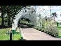 Download Lagu Hutan Kota Tanah Grogot tempat asik buat bernaung
