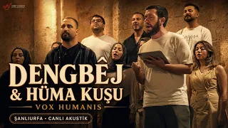 Vox Humanis – Dengbêj & Hüma Kuşu | Şanlıurfa’da Canlı Akustik 🎶🔥