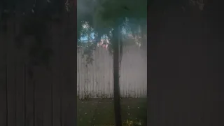 Rainy hurricane looking day in the B35 bus