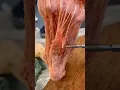Real Human Foot Muscles