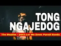 Download Lagu The Beatles - Don't Let Me Down Parody \