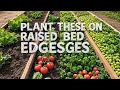Download Lagu The Edges of Your Raised Beds Should Have These Plants – Nitrogen Fixers And Soil Restorers