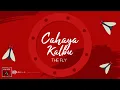 Download Lagu The Fly - Cahaya Kalbu (Official Lyric Video)