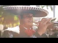 Authentic Mexican Restaurant Music | Mariachi & Latin Guitar with Vibrant Food & Fiesta Atmosphere