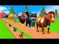 Download Lagu Long Slide Game With Cow Elephant Gorilla Hippopotamus Tiger 3d Animal Game Funny 3d Animals