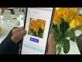 Flower Classification and Recognition Based on deep learning and Edge Impulse