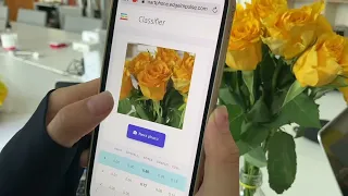 Flower Classification and Recognition Based on deep learning and Edge Impulse