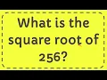What is the square root of 256