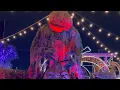 HONEST REVIEW JACKS PUMPKIN PATCH POP UP IN CHICAGO