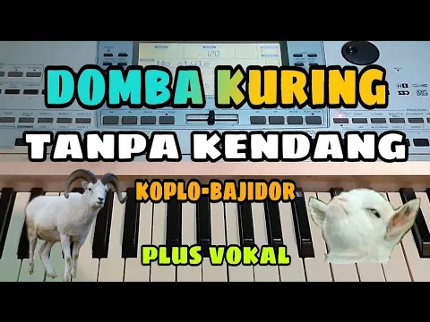 Download MP3 DOMBA KURING || TANPA KENDANG KOPLO-BAJIDOR || PLUS VOKAL