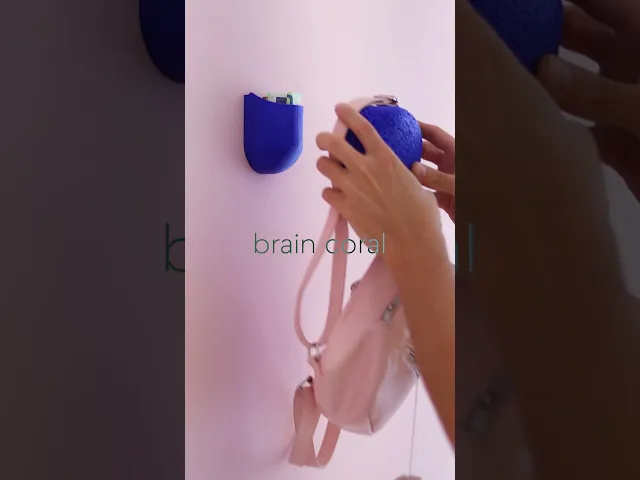 Brain Coral | Wall Mounted video thumbnail