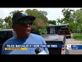 Florida Man Arrested for the Most Florida Reason Crazy Arrests Compilation