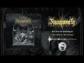 Download Lagu Finsmoonth - Triumph of the Moon (2022)