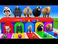 Lagu Long Slide Game with Cow Lion Tiger Elephant Gorilla Buffalo 3d Animal Game Funny 3d Animals