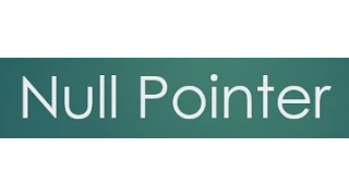 19 Null Pointer
