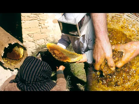 Download MP3 Traditional cultivation of bees in cane arnas | Manufacture of honey and wax | Lost Trades