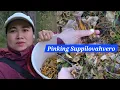 Download Lagu Pinking Suppilovahvero Finland