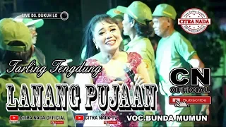 lanang pujaan tarling tengdung citra nada live pelantikan kades dukuh lo bulakamba brebes