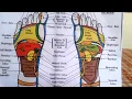 Reflexology - How to Read a Foot Reflexology Chart
