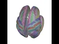 From the pial surface to an inflated brain to a flat map with Freesurfer surfaces
