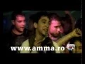 Download Lagu Babi Minune si Narcisa - Indianca mea araboaica mea