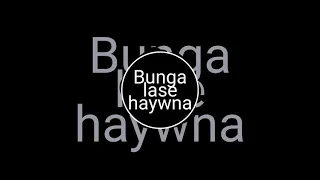 bunga laswi haywna swrba tanw bodo song bunga lase haywna swrba tanw new bodo video 2025