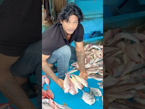Vizag fishing hurber #viralvideo #viral #fish #seafood #trending #viralshorts #vizag #reels