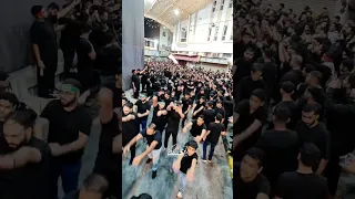 الرادود عيسى نزار الدرازي Ll وفاة أم البنين ع ١٤٤٦هـ Ll موكب عزاء مأتم الحاج عباس Ll المنامة 