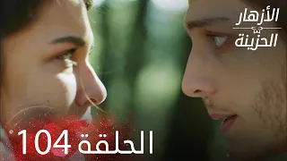 الأزهار الحزينة الحلقة 104 كاملة Kırgın Çiçekler 