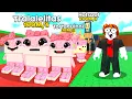 Download Lagu ADMIN DO ROUBE O BRAINROT FICOU MALUCO E ATIVOU SORTE INFINITA NO SERVIDOR 🤑 (SECRETO TODA HORA)