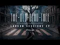 The Old Dead Tree - London Sessions Full EP Stream
