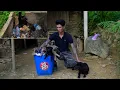 Download Lagu The gangster gave up all his bad jobs. He saves abandoned dogs and picks bamboo shoots.
