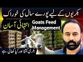 Goats feed managment type of feed daily feed quantity per goat complete information goat farming