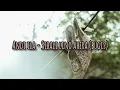 Andi Ila - Sibali Lino Ahera (lagu bugis)