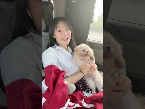 Monday morning school w/ pets