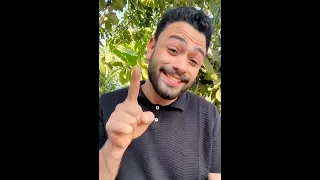                                              دندنها