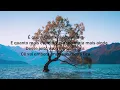HODARI part. Luedji Luna - ORISHAS (Letra/Lyrics) | Official Music Video