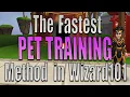 The EASIEST Way to Train a Pet to Max in Wizard101