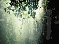 Rain - Patty Griffin - Lyrics