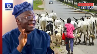 Nigeria Is Only Country With Cattle Grazing On Airport Road Falana 