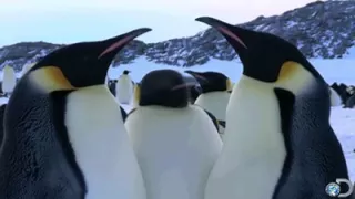 SMH reaction gif