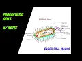 How to draw easily PROKARYOTIC CELLS STRUCTURE and FUNCTION w -NOTES SCIENCE BIOLOGY easy