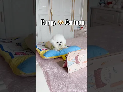 Puppy 🐶 का दोस्त हमेशा के लिये चला गया 💔🥹