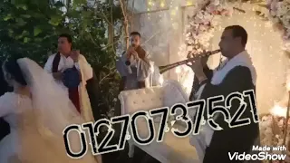 فرقة الزفة بالمزمار البلدي في القاهرة             دندنها