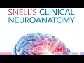 CHAPTER 5 - Brainstem Structures and Functions