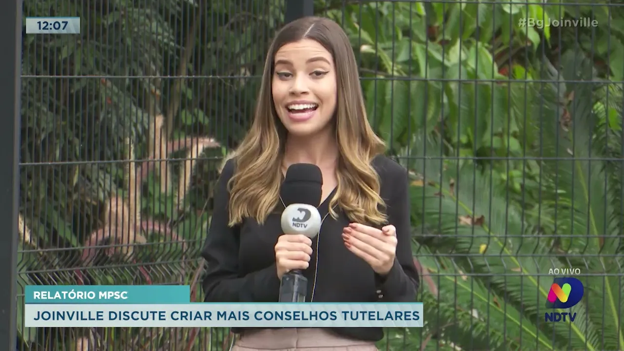 Relatório MPSC: Joinville discute criar de mais conselhos tutelares