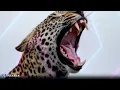 Jain - Makeba (Ian Asher Remix)