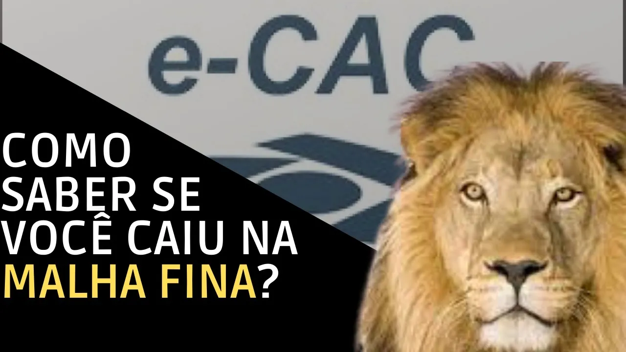 Malha Fina IRPF -  Como consultar ou retificar a Declaração do Imposto de Renda.