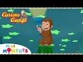 George s Special Sleepover Curious George 1 Hour Compilation Mini Moments